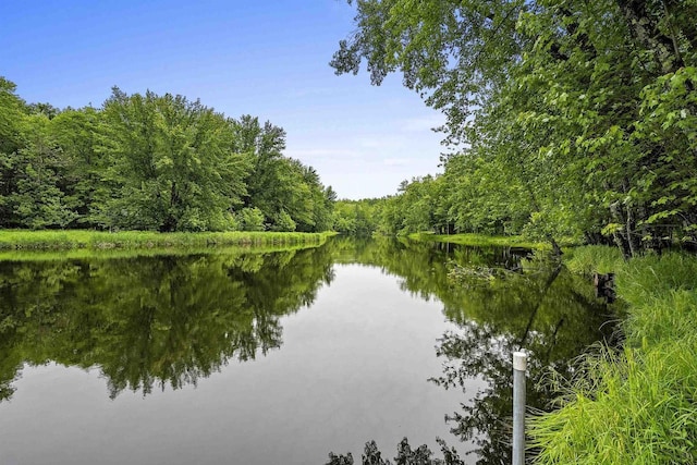 N12757 Rivers Meet Dr, Athelstane, WI 54104 - water view with a heavily wooded area