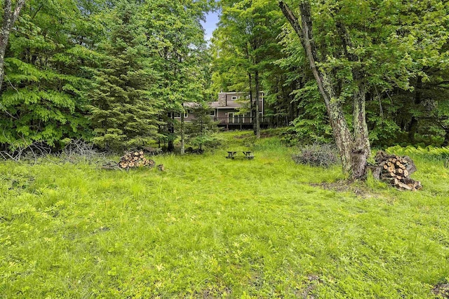 N12757 Rivers Meet Dr, Athelstane, WI 54104 - view of yard featuring a wooded view