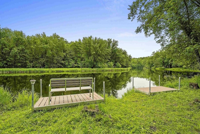 N12757 Rivers Meet Dr, Athelstane, WI 54104 - dock area with a water view and a wooded view