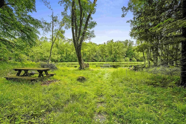 N12757 Rivers Meet Dr, Athelstane, WI 54104 - view of yard with a wooded view