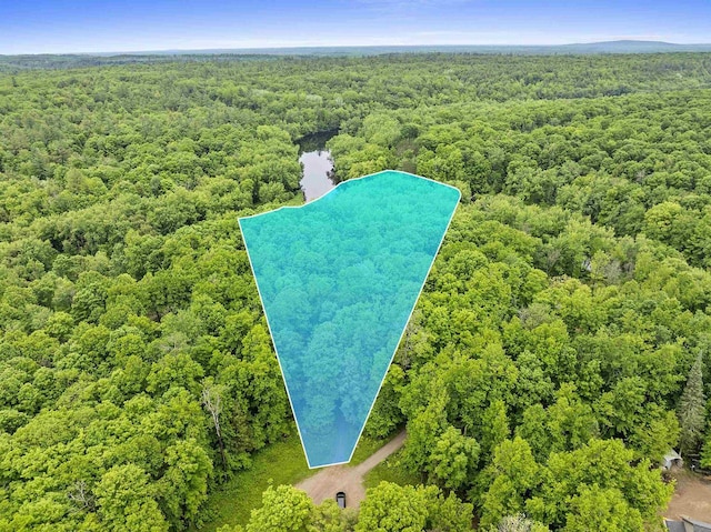 N12757 Rivers Meet Dr, Athelstane, WI 54104 - aerial view of property and surrounding area featuring a heavily wooded area and property parcel outlined