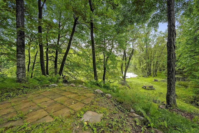 N12757 Rivers Meet Dr, Athelstane, WI 54104 - view of yard