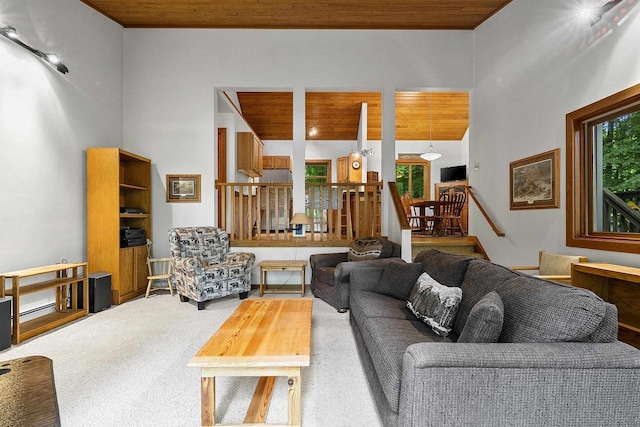 N12757 Rivers Meet Dr, Athelstane, WI 54104 - carpeted living area with healthy amount of natural light and wood ceiling