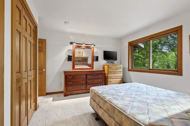N12757 Rivers Meet Dr, Athelstane, WI 54104 - bedroom featuring light colored carpet and a closet
