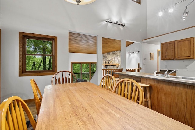 N12757 Rivers Meet Dr, Athelstane, WI 54104 - dining space featuring rail lighting and vaulted ceiling
