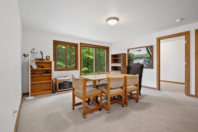 N12757 Rivers Meet Dr, Athelstane, WI 54104 - dining space featuring light colored carpet and baseboards