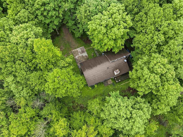 N12757 Rivers Meet Dr, Athelstane, WI 54104 - bird's eye view