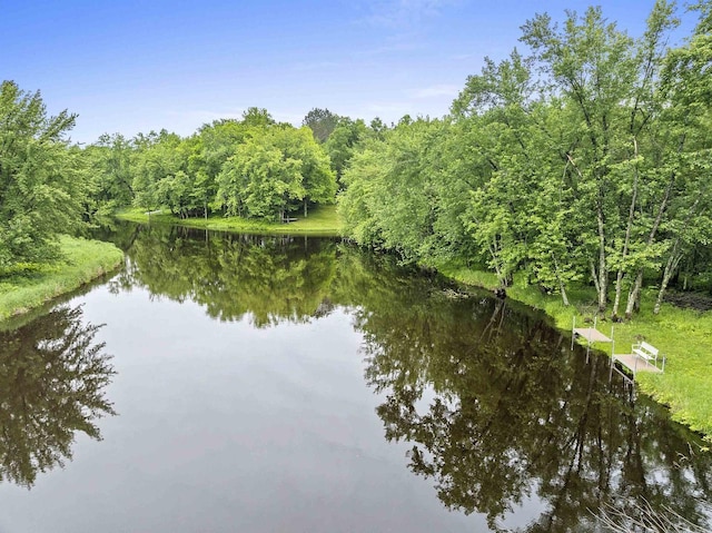 N12757 Rivers Meet Dr, Athelstane, WI 54104 - water view featuring a forest