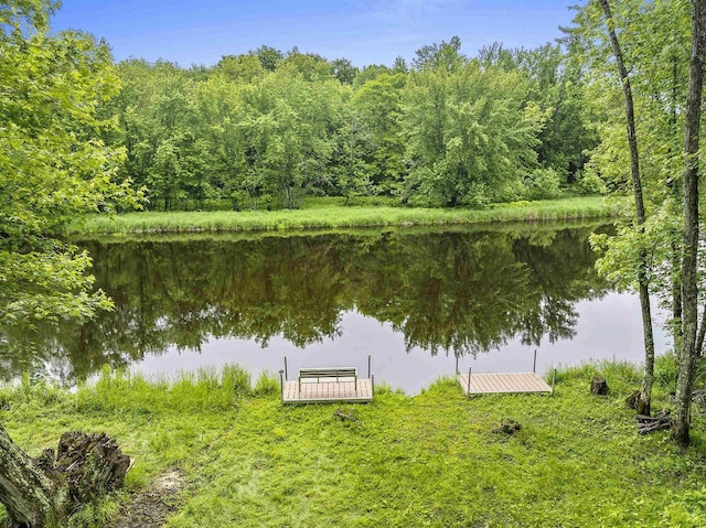 N12757 Rivers Meet Dr, Athelstane, WI 54104 - water view featuring a dock and a heavily wooded area