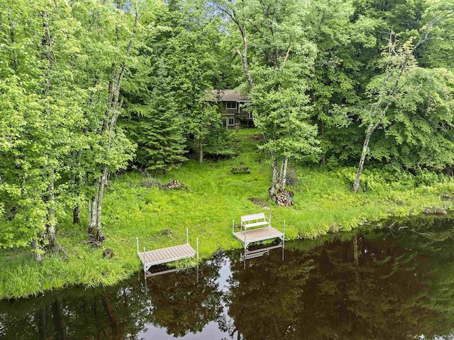 N12757 Rivers Meet Dr, Athelstane, WI 54104 - dock with a water view