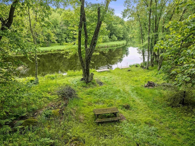 N12757 Rivers Meet Dr, Athelstane, WI 54104 - view of yard with a water view and a view of trees