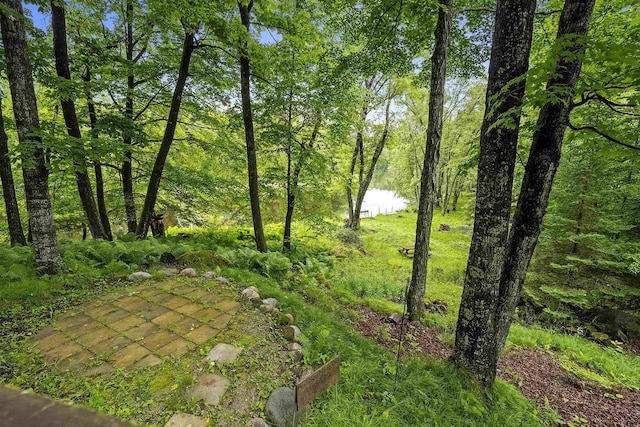 N12757 Rivers Meet Dr, Athelstane, WI 54104 - view of yard