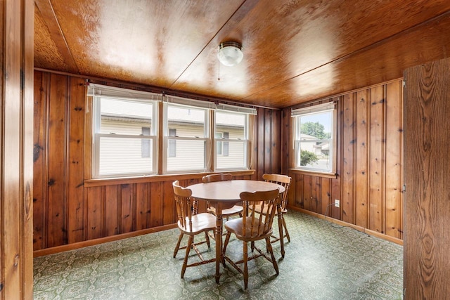 1647 Loomis St, La Crosse, WI 54603 - dining space featuring tile patterned floors and wood walls