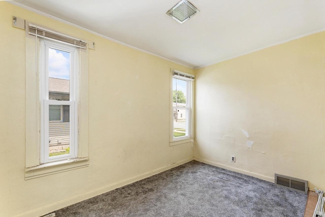 1647 Loomis St, La Crosse, WI 54603 - spare room featuring plenty of natural light, carpet flooring, and crown molding