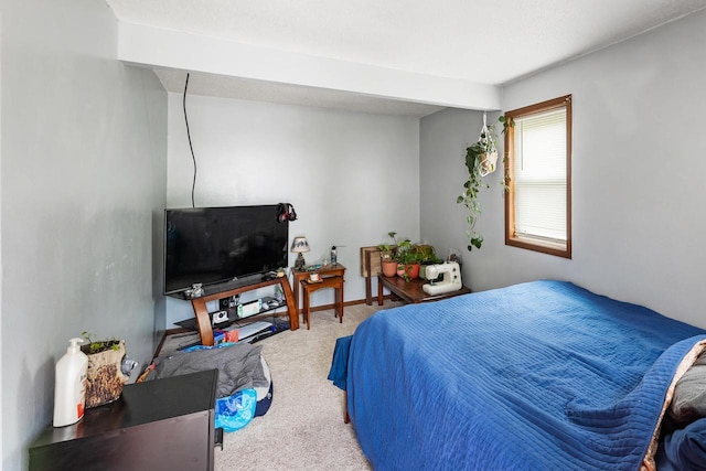 1432 Loomis St, La Crosse, WI 54603 - bedroom featuring carpet