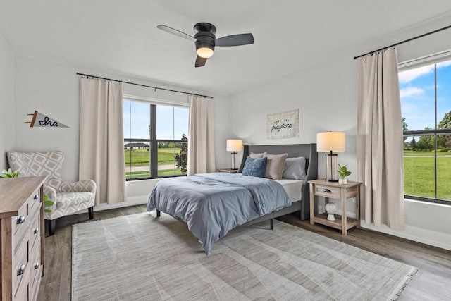 7205 N Trinity Ct, Appleton, WI 54913 - bedroom with multiple windows, wood finished floors, and a ceiling fan