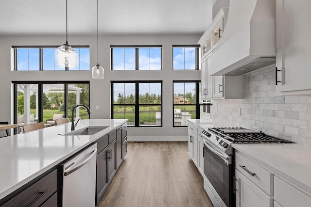 7205 N Trinity Ct, Appleton, WI 54913 - kitchen featuring stainless steel appliances, custom range hood, healthy amount of natural light, and light countertops