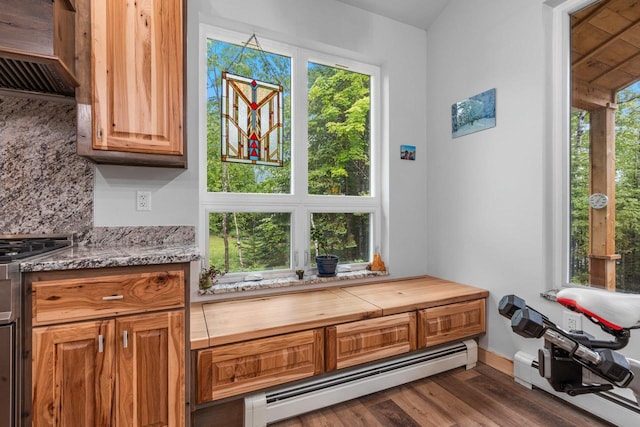 3838 Bear Lake Ln, Laona, WI 54541 - kitchen with premium range hood, baseboard heating, stainless steel stove, dark wood-style flooring, and decorative backsplash
