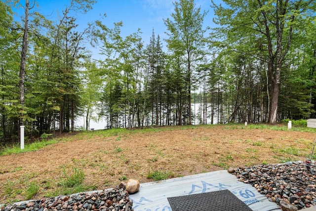 3838 Bear Lake Ln, Laona, WI 54541 - view of yard