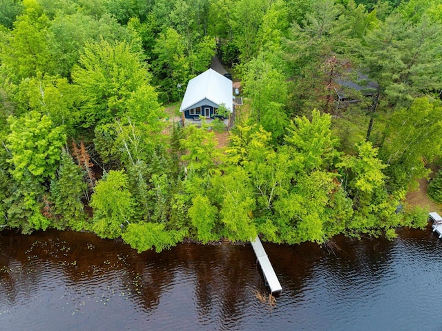 3838 Bear Lake Ln, Laona, WI 54541 - view of subject property featuring a nearby body of water