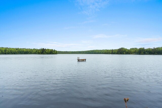 3838 Bear Lake Ln, Laona, WI 54541 - water view featuring a heavily wooded area