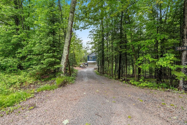 3838 Bear Lake Ln, Laona, WI 54541 - view of dirt / gravel driveway