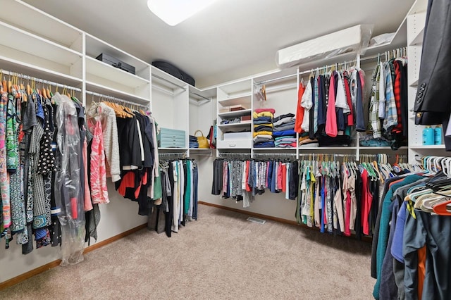 20750 Chadwick Ln, Brookfield, WI 53045 - spacious closet with carpet