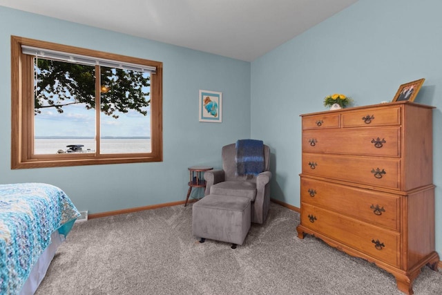 N7861 Lakeshore Dr, Fond Du Lac, WI 54937 - bedroom with light colored carpet and baseboards