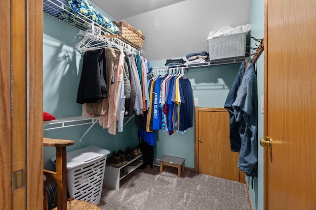 N7861 Lakeshore Dr, Fond Du Lac, WI 54937 - spacious closet with carpet