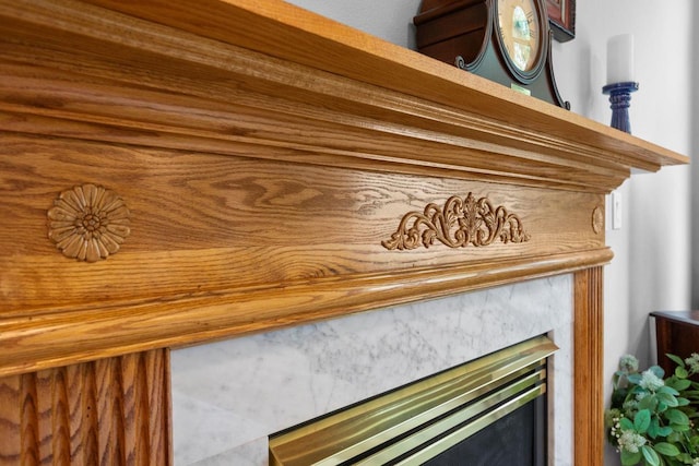 N7861 Lakeshore Dr, Fond Du Lac, WI 54937 - detailed view of a high end fireplace