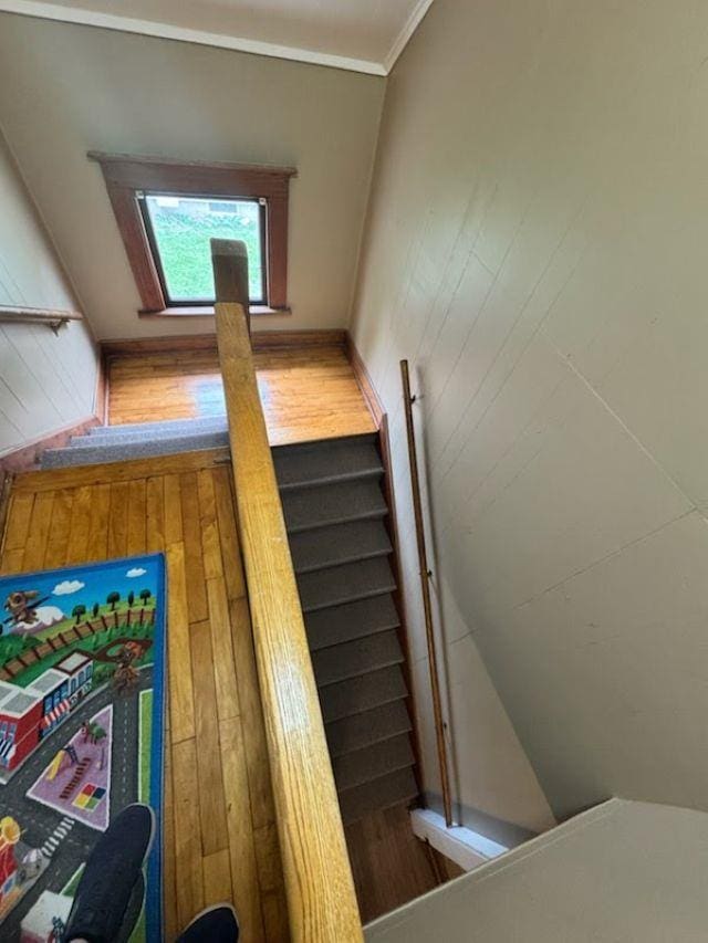 1820 Plymouth St, Oshkosh, WI 54901 - staircase featuring wood finished floors, wooden walls, and ornamental molding