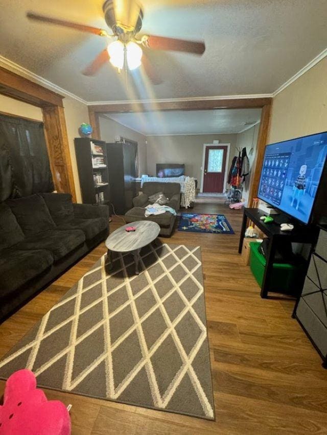 1820 Plymouth St, Oshkosh, WI 54901 - living room with a ceiling fan, wood finished floors, ornamental molding, and a textured ceiling