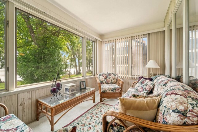2213 Sunrise Dr, Appleton, WI 54914 - sunroom featuring wood walls and carpet flooring
