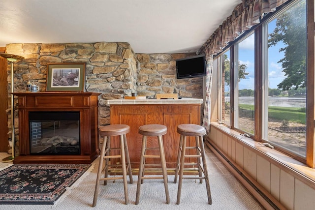 2213 Sunrise Dr, Appleton, WI 54914 - indoor dry bar with carpet flooring, a baseboard radiator, and a glass covered fireplace
