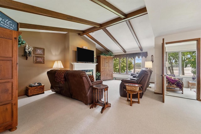 2213 Sunrise Dr, Appleton, WI 54914 - living area featuring carpet flooring and a fireplace