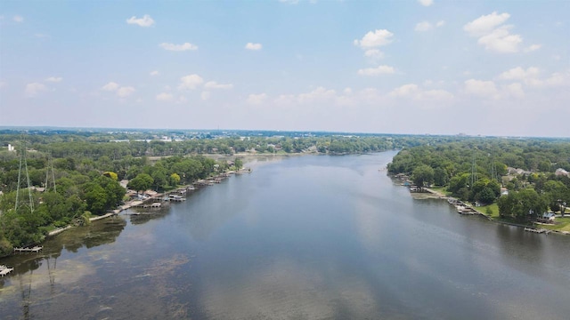 2213 Sunrise Dr, Appleton, WI 54914 - water view with a heavily wooded area