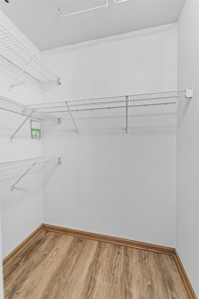 15 Naylor Cir, Madison, WI 53719 - walk in closet with wood finished floors