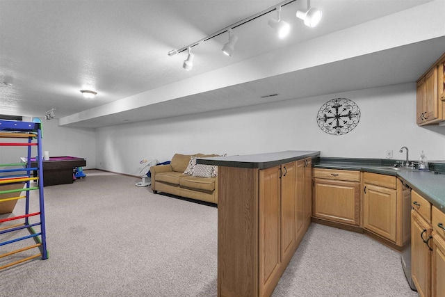 15 Naylor Cir, Madison, WI 53719 - bar with light carpet, rail lighting, and dishwasher