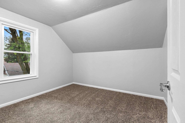 206 W Willow St, Bear Creek, WI 54922 - additional living space with lofted ceiling and carpet floors