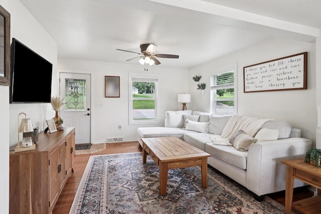 228 N Pleasant Ave, Jefferson, WI 53549 - living room featuring plenty of natural light, ceiling fan, and wood finished floors