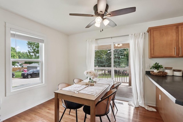 228 N Pleasant Ave, Jefferson, WI 53549 - dining room with plenty of natural light, light wood finished floors, and ceiling fan
