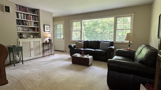3218 N 13th St, Wausau, WI 54403 - living area featuring carpet flooring and built in features
