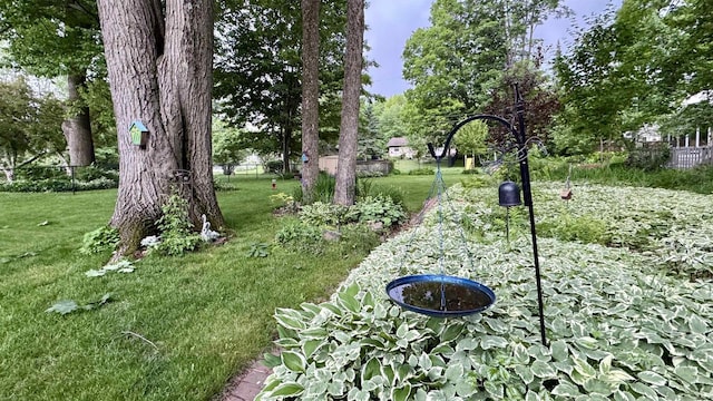 3218 N 13th St, Wausau, WI 54403 - view of yard