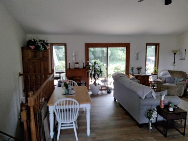 W5211 Fern Ave, Montello, WI 53949 - living room with plenty of natural light, wood finished floors, and ceiling fan