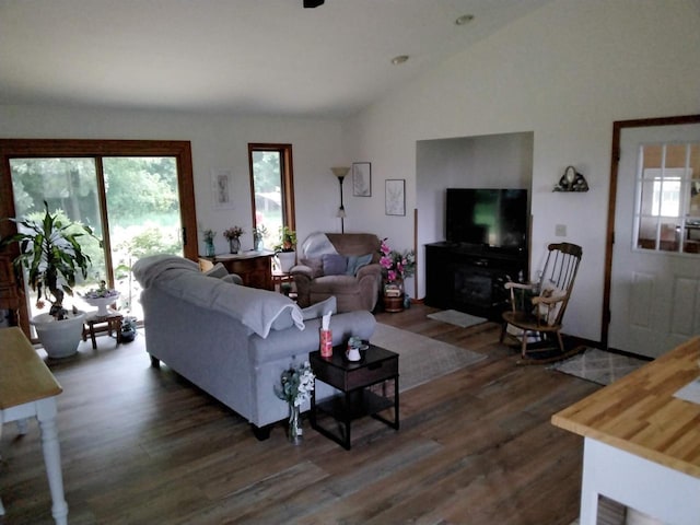 W5211 Fern Ave, Montello, WI 53949 - living area with dark wood-type flooring, plenty of natural light, and vaulted ceiling