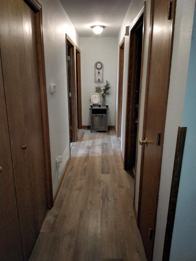 W5211 Fern Ave, Montello, WI 53949 - hallway with light wood-style floors