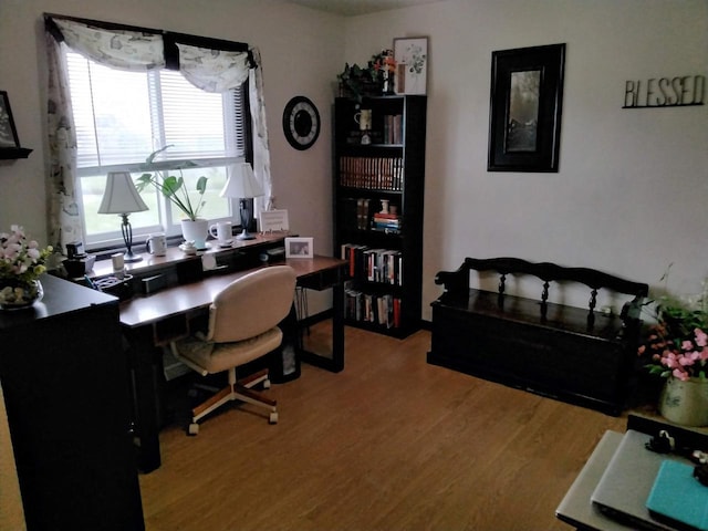 W5211 Fern Ave, Montello, WI 53949 - office area featuring light wood-type flooring