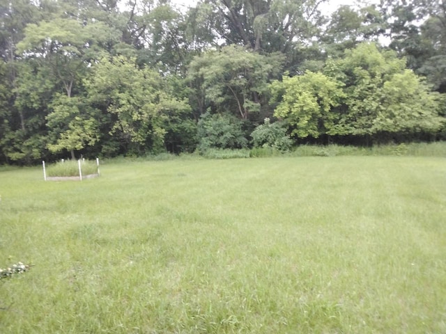 W5211 Fern Ave, Montello, WI 53949 - view of grassy yard
