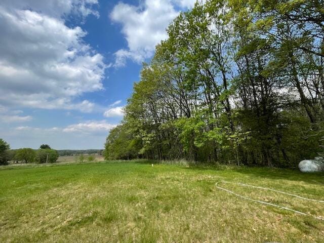 W5211 Fern Ave, Montello, WI 53949 - view of yard