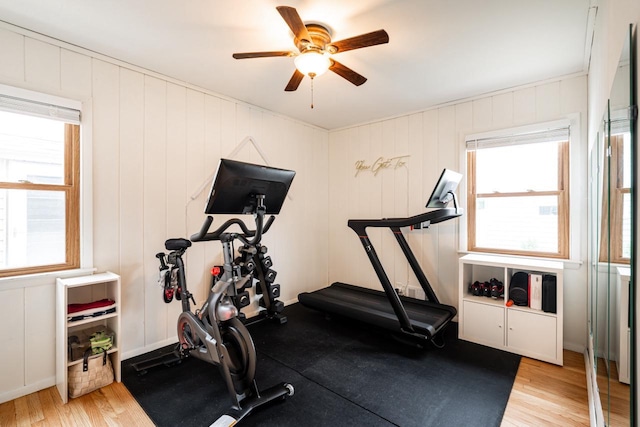 10610 W Rogers St, West Allis, WI 53227 - exercise room featuring ceiling fan and light wood-style floors